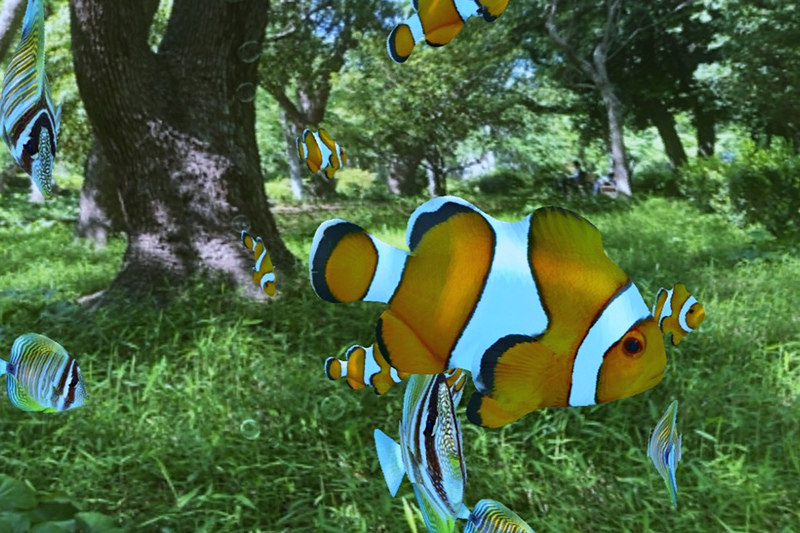 水中を魚が泳ぐ水族館WebAR