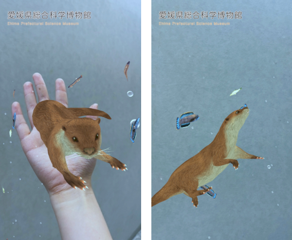 カワウソが泳いだり手に乗ったりしているWebAR